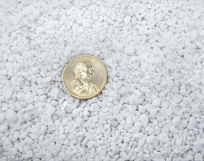 Organic Perlite by Perfect Plants — 1qt. Natural Soil Additive for Indoor & Outdoor Container Plants — Enhanced Drainage for Optimal Growth