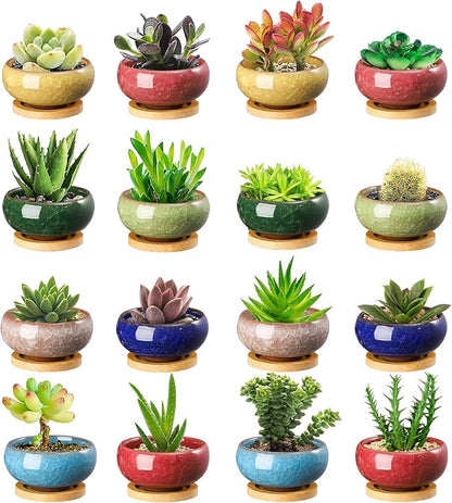 TOPZEA 16 Pack Mini Succulent Planter Pot, 2.5 Inch Ceramic Ice Crack Cactus Seed Starter Pots Micro Landscape Planter with Drainage Hole & Bamboo Tray for Moss Plant, Baby Succulent, Herb