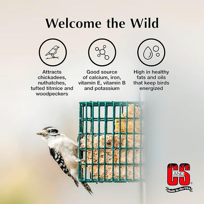 C&S Sunflower Suet Treat, Wild Bird Food for Chickadees, Nuthatches, Tufted Titmice, Woodpeckers, Wrens, Warblers, Brown Creepers, Northern Flickers, Pine Grosbeaks, Jays and More, 8 Pack
