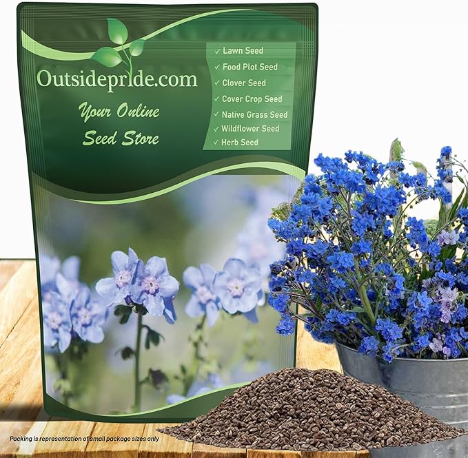 Outsidepride Cynoglossum Blue Chinese Forget Me Not Seeds - 5 Lbs. Self-Sowing Annual Flower Seeds for Planting Dense Blue Blooms & Upright Growth Habit for Borders, Pollinator & Cottage Gardens