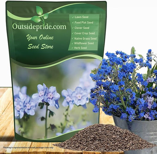 Outsidepride Cynoglossum Blue Chinese Forget Me Not Seeds - 1 Lb. Self-Sowing Annual Flower Seeds for Planting Dense Blue Blooms & Upright Growth Habit for Borders, Pollinator & Cottage Gardens
