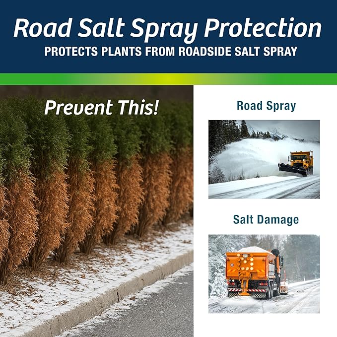 Wilt-Pruf® Concentrate | Protect Against Winter Damage, Drought, and Stress | Just Spray & Let Dry | Locks in Moisture w/Clear Foliar Film | Professional-Grade & Trusted | Replaces Burlap | (5 Gal)