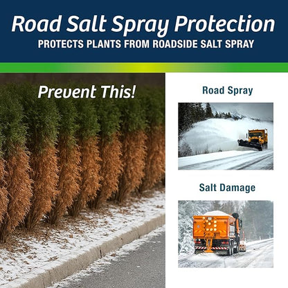 Wilt-Pruf® Concentrate | Protect Against Winter Damage, Drought, and Stress | Just Spray & Let Dry | Locks in Moisture w/Clear Foliar Film | Professional-Grade & Trusted | Replaces Burlap | (5 Gal)