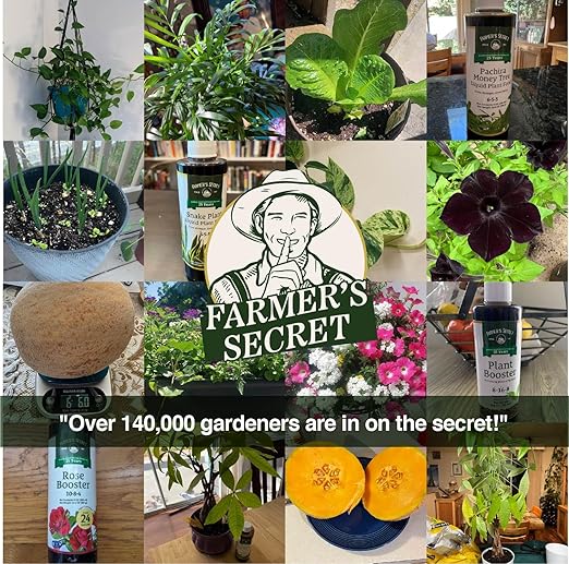 Farmer’s Secret Plant Booster (8oz) - Super Concentrated - High Phosphorus Formula for Early Stage Plants - Promotes Root Growth