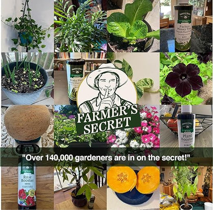 Farmer’s Secret Pothos Liquid Plant Food Fertilizer (8oz) - Super Concentrated - 6:5:3 Ratio - Strengthen Roots and Encourage Growth in All Varieties of Pothos
