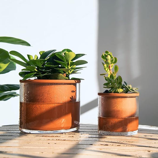 Phoenix Vine 4 Inch 6 Inch Self Watering Plants Pots, Design Terracotta Pots for Plants, Indoor Cylinder Terra Cotta Planter with Glass Vase Set, 51-A-G-46