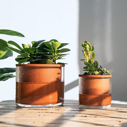 Phoenix Vine 4 Inch Self Watering Plants Pot, Design Terracotta Pot for Plants, Indoor Cylinder Terra Cotta Planter with Glass Vase, Set of 1, 51-A-E-1