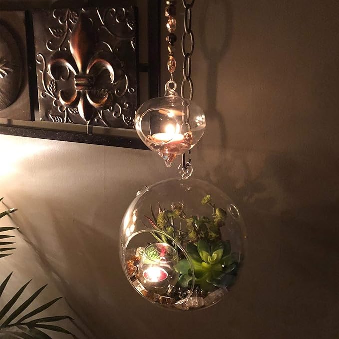 WGV Hanging Terrarium Globe, Width 8", Height 9", DIY Air Succulent Planter, Clear Glass Vase Orb with Flat Bottom, Candle Holder for Windowsill Outdoor Garden Decor, 6 Pieces Bulk