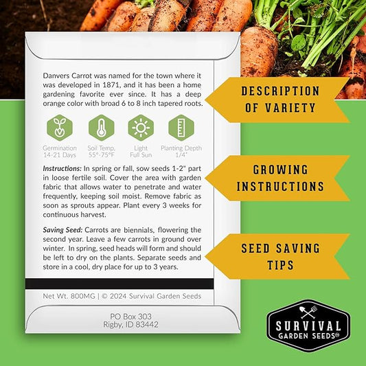 Danvers Carrot Seeds – Danvers 126 Half-Long Carrots for Planting, High-Yield Heirloom Variety – Non-GMO, Open Pollinated Garden Carrot Seeds – Survival Garden Seeds (5 Packs)