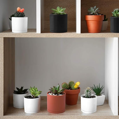 D'vine Dev 10 Pack Plastic Plant Pots for Plants, 6.5/6/5.5/5/4.5/4/3.5/3/2.5/2 Inch Indoor Planters Cylindrical Succulent Pot with Drainage Hole and Saucer, White, 74-S-A
