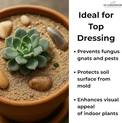 Fine Sand for Plants – Horticultural Sand for Succulents, Cactus, Potting Mixes, Terrariums & Decorative Indoor Gardens, Made in USA (1 Quart - 2.8 lbs)