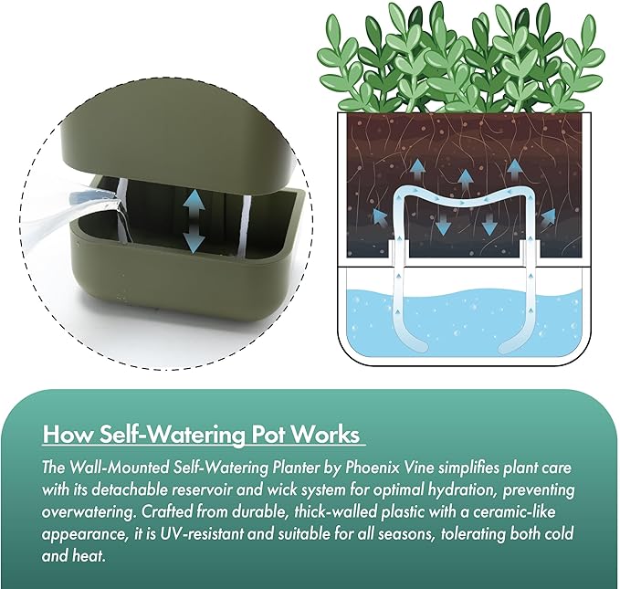 Phoenix Vine 6.5-Inch Wall Mounted Self-Watering Planter Pot for Indoor Houseplants and Herbs | Hanging Planter for Window Sills, Bathroom Walls, Home & Office Décor, Olive, Set of 2, 01-WP-C-2