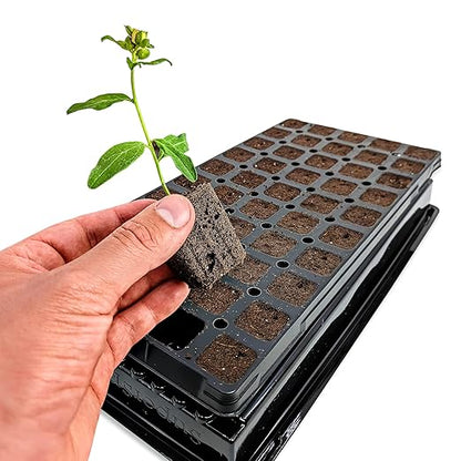 VPS OrganiPlug Hydroponic Seed Starter Plugs, 50 pcs in 1 Prefilled Tray, Rapid Root Planting Pods for Seedling, Clone, Cutting, Promotes Plant, Flower, Vegetable Growth w/Organic Soil Ingredients