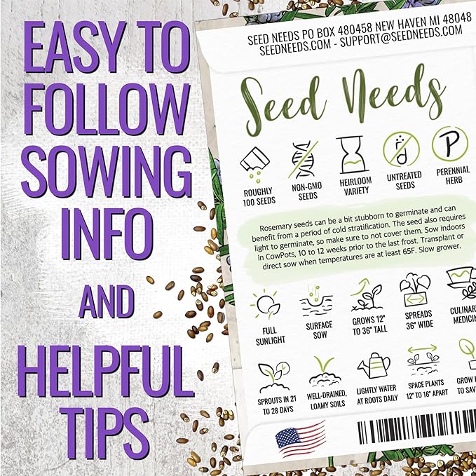 Seed Needs Rosemary & Sage Seeds for Planting Fresh Kitchen Herbs - Non-GMO Heirloom & Untreated Perennial Herb Seed to Plant a Culinary Garden Indoors or Outdoors (2 Packs)