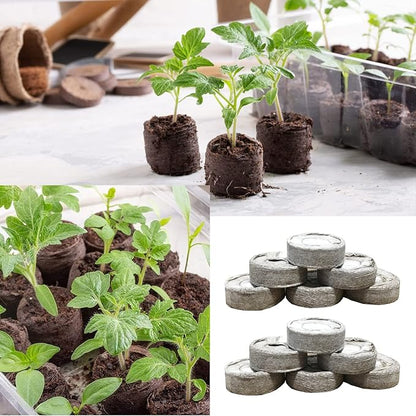 255 Pcs 30mm Peat Pellets Seed Starter Soil,Compressed Seed Starting Soil for Seed Starting of Plants, Fruits, Vegetables, Flowers, Easy Planting and Transplanting for Efficiency (255)