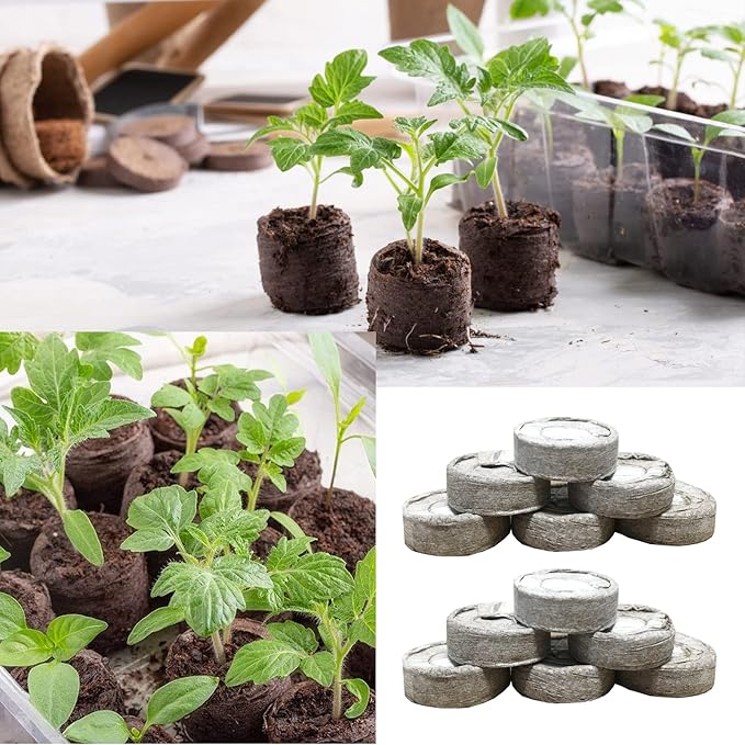 150 Pcs 30mm Peat Pellets Seed Starter Soil,Compressed Seed Starting Soil for Seed Starting of Plants, Fruits, Vegetables, Flowers, Easy Planting and Transplanting for Efficiency (150)