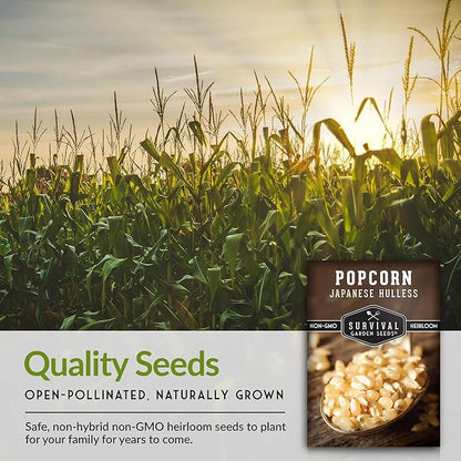 Survival Garden Seeds - Japanese Hulless Popcorn Seed for Planting - 1 Packet with Instructions to Plant and Grow Delicious Kernel Popcorn in Your Home Vegetable Garden - Non-GMO Heirloom Variety