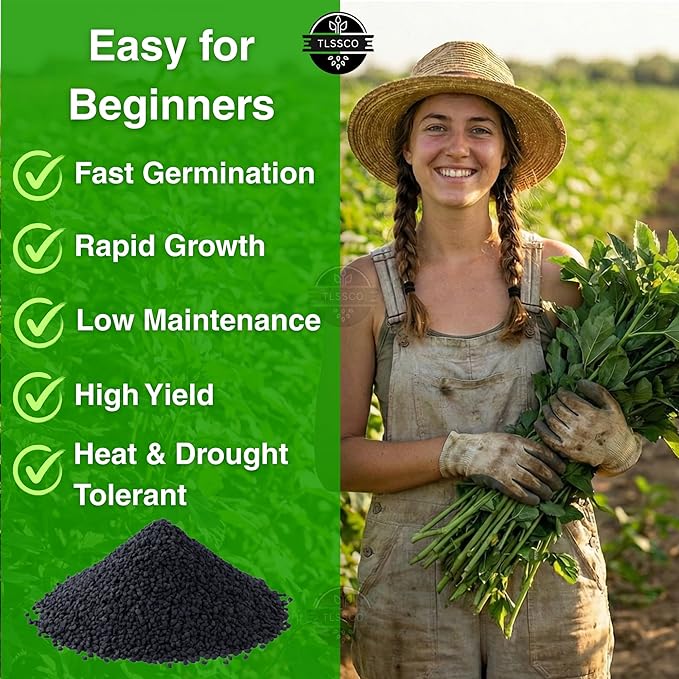 3000+ USA Premium Egyptian Spinach Seeds (Molokhia), Non-GMO Seeds, Fast-Growing, Low Maintainance, Nutrient-Rich & High-Yield – Heirloom Seeds