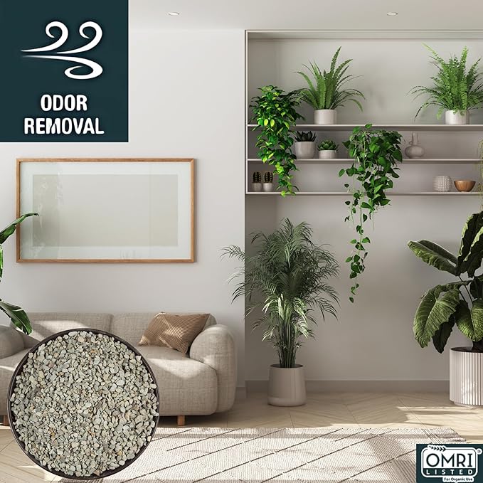 Zeolite Rocks Regular Size 2 Quarts 6 Pounds for Succulents Bonsai Trees Odor Control Soil Drainage and Moisture Balance