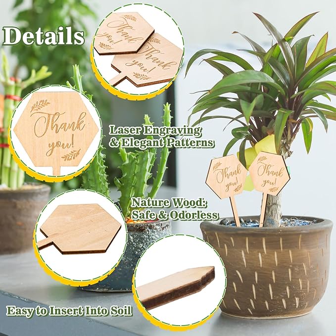 30Pcs Thank You Plant Labels Baby Shower Hexagon Wooden Plant Stakes Gift Succulent Garden Marker Plant Sign for Seed Potted Teacher Appreciation Thanksgiving Supplies