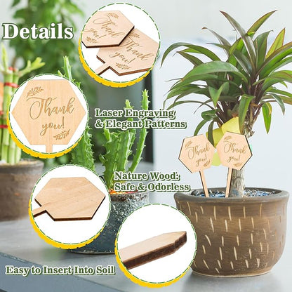 30Pcs Thank You Plant Labels Baby Shower Hexagon Wooden Plant Stakes Gift Succulent Garden Marker Plant Sign for Seed Potted Teacher Appreciation Thanksgiving Supplies