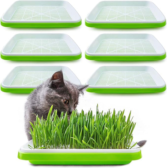 Pack 6 Seed Sprouter Tray with Drain Holes,Seed Germination Tray Kit BPA Free Nursery Trays,Soil-Free Big Capacity Healthy Wheatgrass Grower Sprouting Container Kit for Home