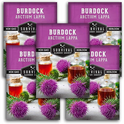 Burdock Root Seeds for Planting – Grow GOBO (Arctium lappa) Heirloom Root Vegetable – Non-GMO Medicinal Herb for Home Gardens – Survival Garden Seeds (5 Packs)