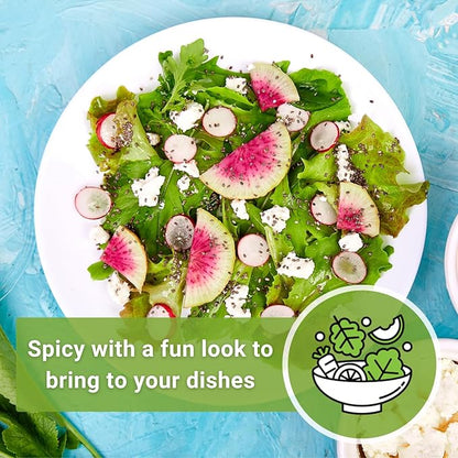 Sow Right Seeds - Bulk Watermelon Radish Seed for Planting - 10 Grams, 1000 Seeds - Non-GMO Heirloom Jumbo Pack - Easy to Grow with High Yields - Grow Loads of This Rare Variety - Vibrant Interior