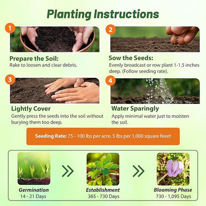 Outsidepride Austrian Winter Peas Seeds for Planting – 50 lbs Bag (Cool-Season Cover Crop, High-Protein Deer Food Plot Seed) Field Peas, Cover Crop Seeds, Spring Mix for Soil Health & Forage