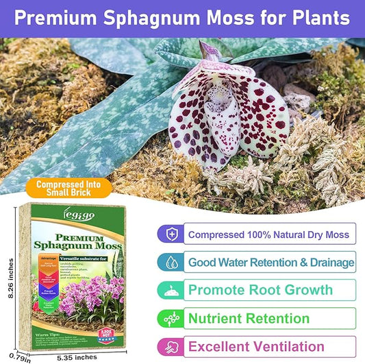Legigo 5.3oz Natural Sphagnum Moss for Plants, 6QT Long Fiber Orchid Moss Potting Mix, Dried Sphagnum Moss for Plants Indoor, Orchid Repotting, Succulent, Carnivorous Plants, Terrarium and Reptiles