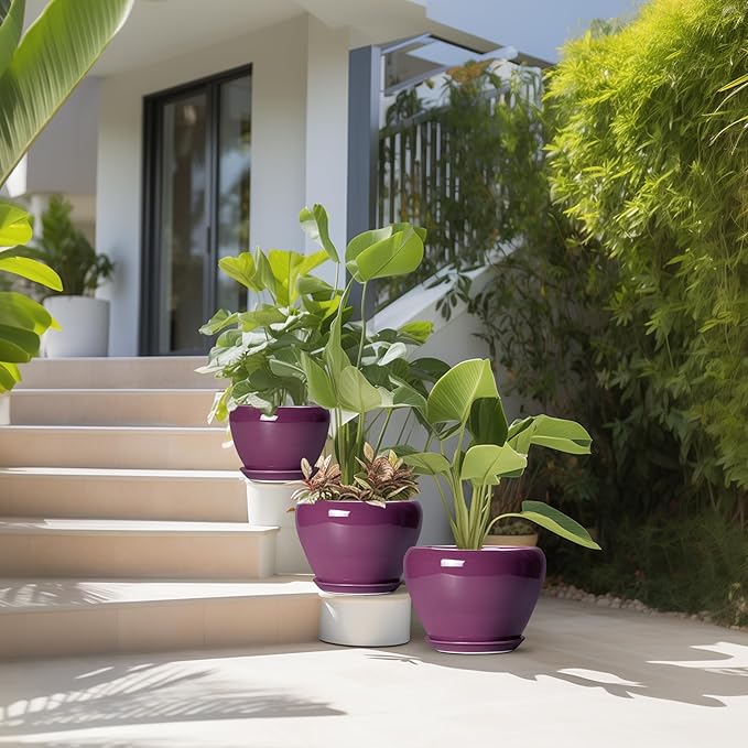 10+8+6 Inch Ceramic Plant Pots, Ceramic Planter for Indoor Outdoor Plants, Round Planter with Drainage Holes and Saucers, Indoor Flower Pots, Room Decor, Housewarming Gift, Set of 3, Purple