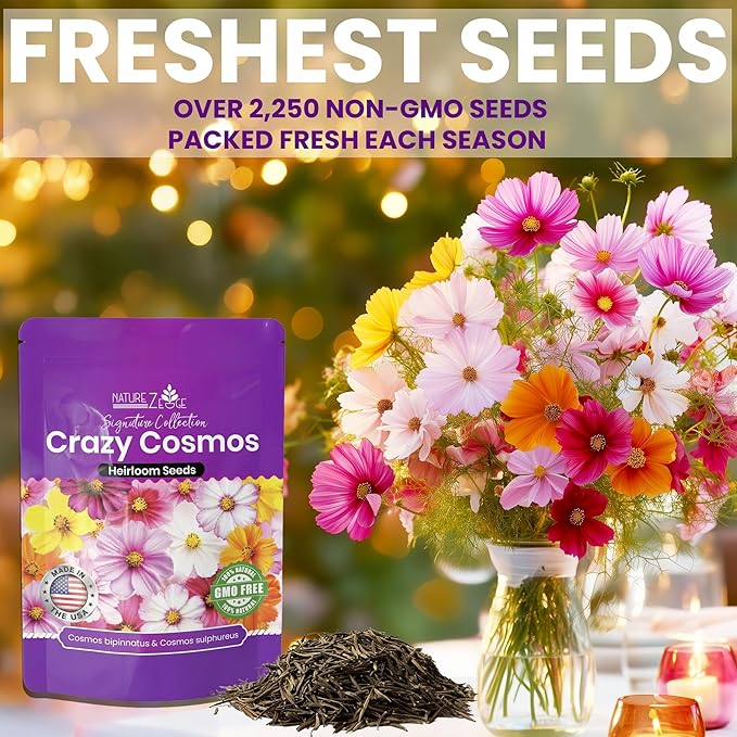 NatureZ Edge, Crazy Cosmos Seeds for 2026, 2250 Cosmos Seed, 15g, Made in USA, Annual Cut Flowers, Wildflower Seeds Bulk for Planting Flowers, Wild Flowers Seed Throw and Grow, semillas de Flores