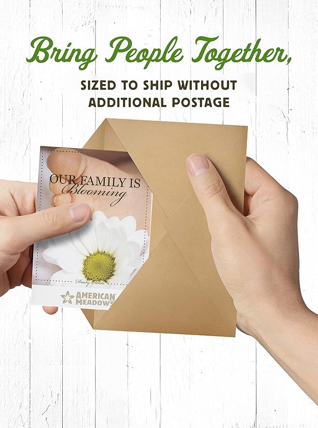 American Meadows Wildflower Seed Packets Our Family is Blooming Baby Shower Party Favors (Pack of 20) - Wildflower Seed Packet Favors for Baby Showers and Sprinkles, Great Gift for Hostesses