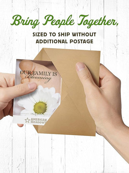 American Meadows Wildflower Seed Packets Our Family is Blooming Baby Shower Party Favors (Pack of 20) - Wildflower Seed Packet Favors for Baby Showers and Sprinkles, Great Gift for Hostesses
