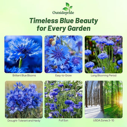 Outsidepride Blue Cornflower Seeds for Planting - 1 lb. Annual Bachelor's Button Flower Seeds for Cut Flower Gardens, Drought-Tolerant, Attracts Pollinators, Ideal for Borders & Bouquets