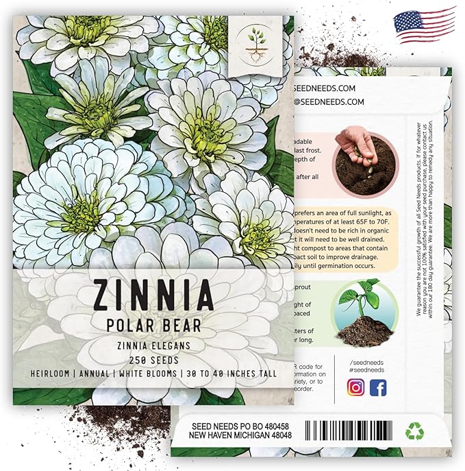 Seed Needs Polar Bear White Zinnia Seeds for Planting - Heirloom & Untreated - Grow a Butterfly Garden to Attract Butterflies, Bees and Pollinators - Great Cut Flowers (5 Packs)