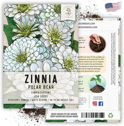 Seed Needs Polar Bear White Zinnia Seeds for Planting - Heirloom & Untreated - Grow a Butterfly Garden to Attract Butterflies, Bees and Pollinators - Great Cut Flowers (1 Pack)