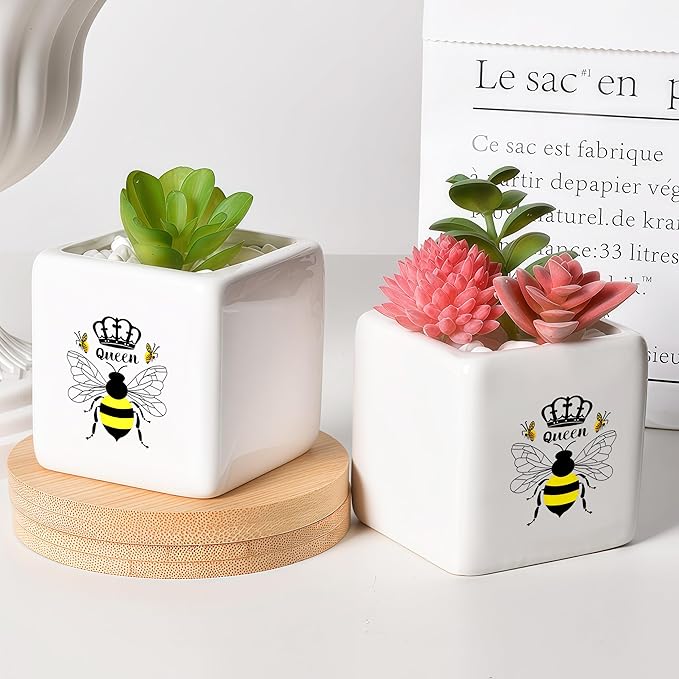 Bee Succulent Planter Flower Plant Pot Small, Gifts for Women Teens Girls Kids, Bee Lovers Themed Stuff Accessories Things Decor Merch, Home Office Table Desk Decoration!