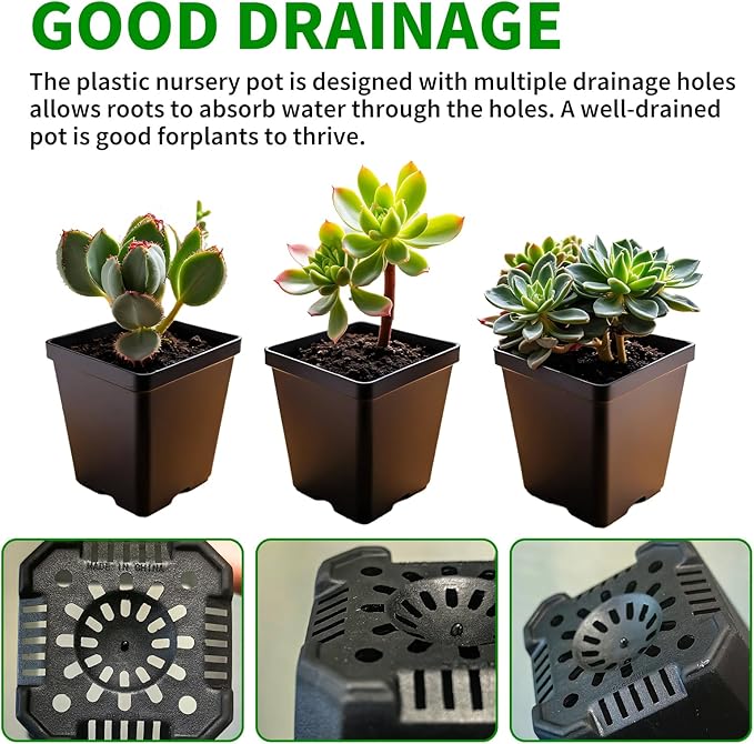 Square Nursery Pots 60Pcs 3" Deep Succulent Plastic Pots Small Flower Planter Seeds Starter Germination Pots for Plants, Succulent, Flower