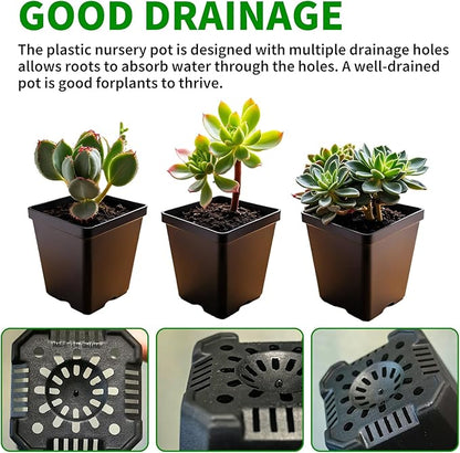 Square Nursery Pots 60Pcs 3" Deep Succulent Plastic Pots Small Flower Planter Seeds Starter Germination Pots for Plants, Succulent, Flower