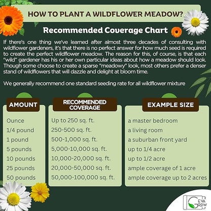 Wildflower Seed Mix 1LB Tub - Save The Bees Seed Mix, by GevaGrow | Bulk 300,000+ Seeds | Pollinator & Bee Attracting Flower Seeds Bulk for Planting in Pots & Outdoor Gardens | 1 Pound Tub