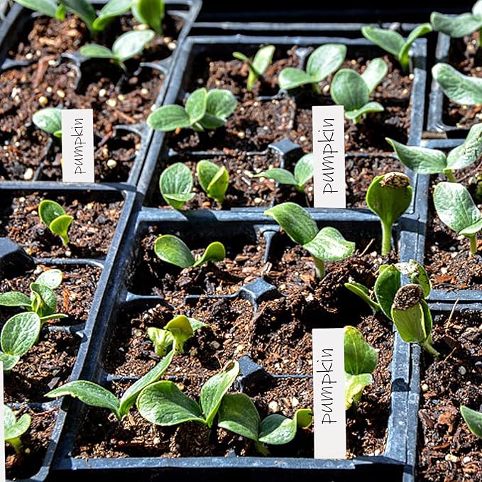 Foraineam 600 Pcs 4 Inches Plant Labels 6 Colors Plastic Waterproof Plant Tags Nursery Garden Labels Pot Marker Garden Stake Tags