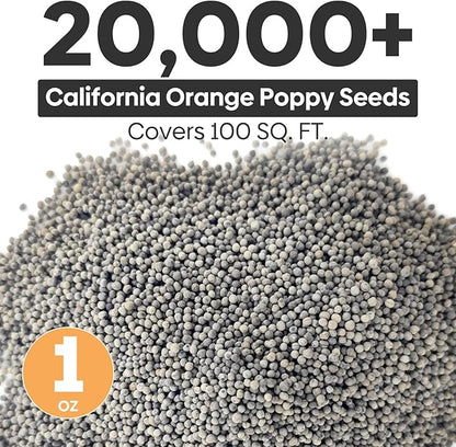 California Poppy Seeds, 1 Ounce Over 20000+ Seeds, Non-GMO | Heirloom | Sourced from USA- Eschscholzia Californica, USDA Zone 5-10