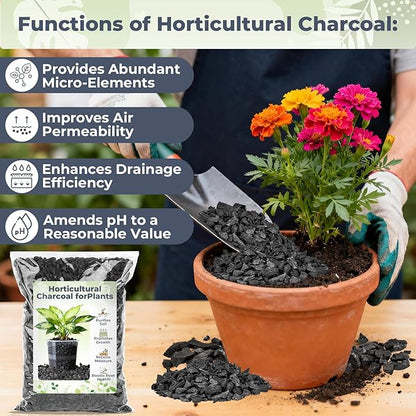 Sukh Horticultural Charcoal for Plants - 2.5Qt. Natural Earth Regulated Supplement for Potting Soil Indoor Plants, Organic Biochar, Succulent Soil, Paphiopedilum, Bonsai, Terrarium