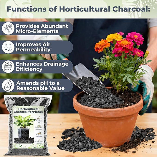 Sukh Horticultural Charcoal for Plants - 2.5Qt. Natural Earth Regulated Supplement for Potting Soil Indoor Plants, Organic Biochar, Succulent Soil, Paphiopedilum, Bonsai, Terrarium