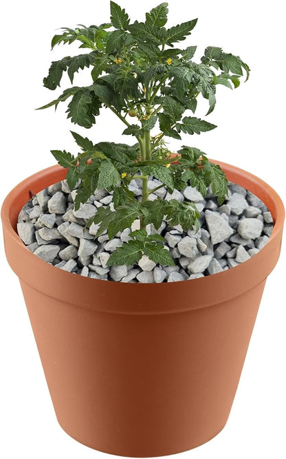 Versatile River Rocks & Garden Stones for Outdoor Landscaping - Ideal Decorative Rocks for Plants Indoor & Outdoor, Rain Forest Rocks, Landscaping Stones. 2 Quarts