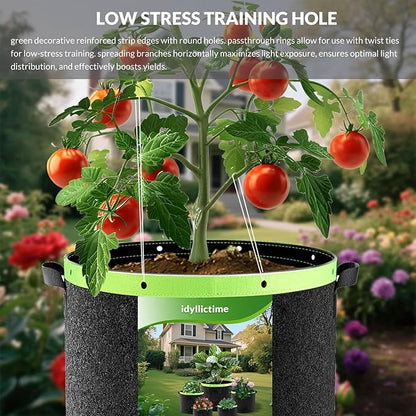 Grow Bags 6 Pack 2MM 400G More Heavy Duty Thickened Nonwoven Garden Plant Fabric Pots (Black, 2 Gallon)