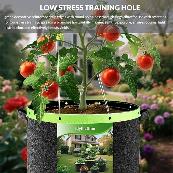 Grow Bags 6 Pack 2MM 400G More Heavy Duty Thickened Nonwoven Garden Plant Fabric Pots (Black, 10 Gallon)