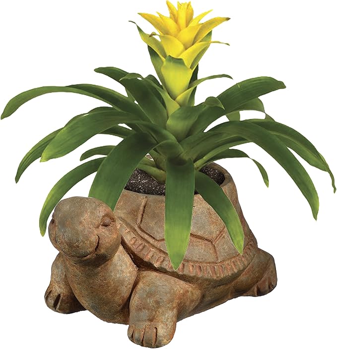 Classic Home and Garden Cement Buddies Animal Planter - Cute Desk Decoration - UV Coated Animal Vase w/Removable Drain Plug - Succulent Planter for Indoor/Outdoor Use (Turtle Planter, Rust, Small)