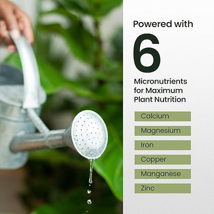 32oz Fiddle Leaf Fig Plant Food - Makes 192 Gallons of Fertilizer, Liquid Houseplant Fertilizer for Ficus Plants, Ideal Fiddle Leaf Fertilizer, 6-2-4 NPK Ficus Plant Food for Strong, Healthy Growth